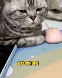 猫咪的咪怎么组词