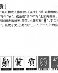 质的组词(质的组词和部首)