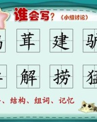 茸字怎么组词(茸怎么组词组)