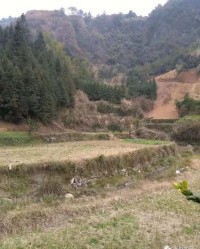 水湾的弯怎么怎么组词