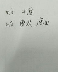 蘑菇的磨怎么组词