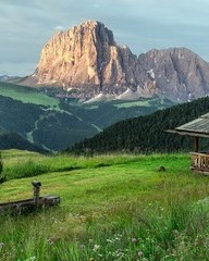 遥字怎么组词(遥字组词怎么写)