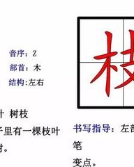 树枝的枝组词(树枝的枝组词怎么写)