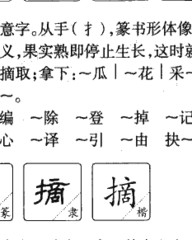 传字的组词(传字的组词怎么组)