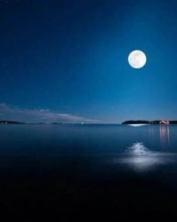 月亮组成成语怎么组词