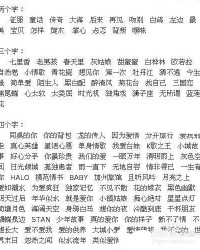 最疯狂的歌曲漂怎么组词