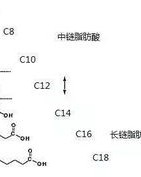 普通的通怎么组词