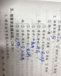 组词怎么分