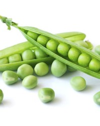 豌豆的组词(豌豆的组词怎么写)