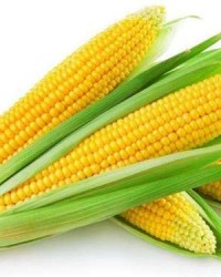 扒玉米的扒怎么组词