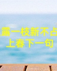 晓怎么组词(晓怎么组词语)