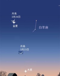 矢组词怎么组成