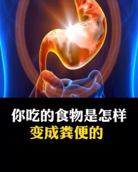 变成便便的便怎么组词