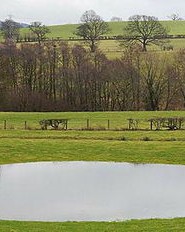 有洼的洼怎么组词