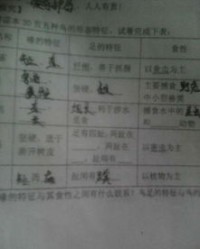 会虫的喙可以怎么组词