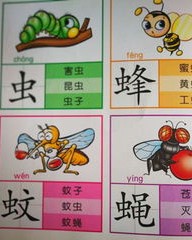 本子字怎么组词