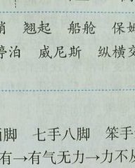 手怎么组词语(手怎么组词语有哪些)