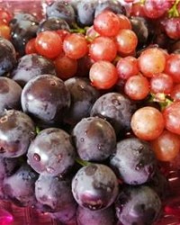 嗯葡萄的葡怎么组词