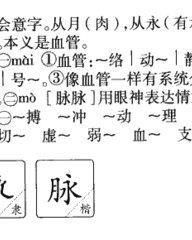 脉组词和部首(脉组词和部首拼音)
