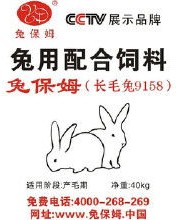 保姆的姆怎么组词