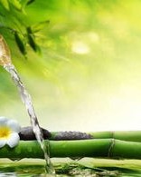 葡萄是怎么组词造句