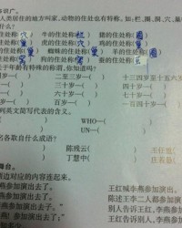 绝的意思和组词怎么写