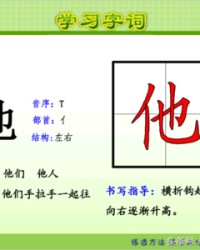 鸭组词和部首(鸭组词和部首大写字母)