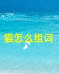 猫怎么组词(猫怎么组词一年级)