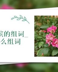 膑怎么组词(珙怎么组词)