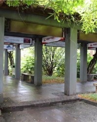 公园的红可以怎么组词