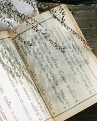 笙怎么组词(笙怎样组词)