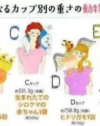 咪咪该怎么组词