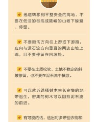杉杉来了山怎么组词