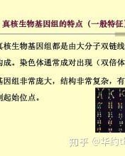 基因间的间怎么组词