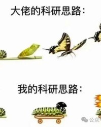 蝴蝶用蝶怎么组词呀