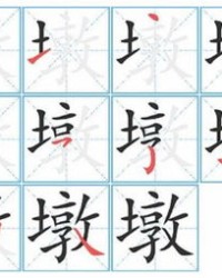 垫怎么组词