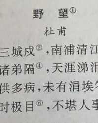 读杜甫的杜甫怎么组词