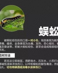 嘴巴巴怎么组词