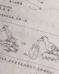 怎么组词烧
