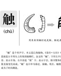 触的拼音和组词(触的拼音和组词和部首和结构)