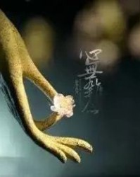 疑怎么组词(望怎么组词)