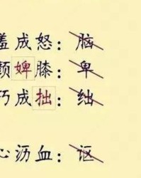 婢组词(婢组词部首)