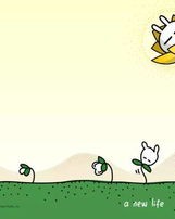 兔子的兔怎么组词