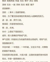 yan怎么组词(洋怎么组词)