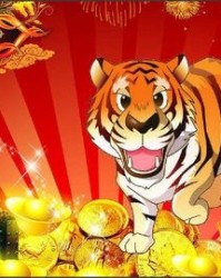 虎年怎么组词语祝福学生