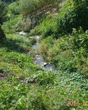 小溪的溪怎么组词