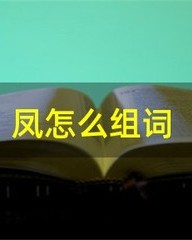 凤怎么组词(凤怎么组词二字)