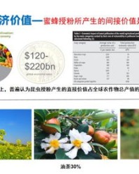 蜂蜜的秘密怎么组词