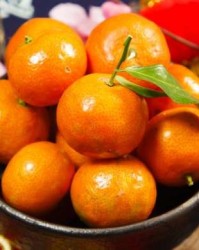 沙糖桔可以怎么组词