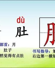 肚子的肚组词(肚子的肚组词怎么组)